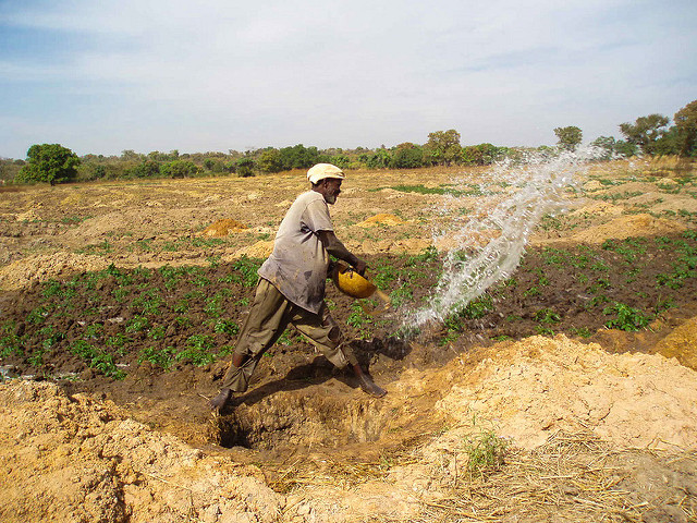 Zambia