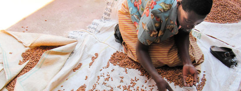 Getting “Gender Right” is Essential for the Sustainability of Food Systems