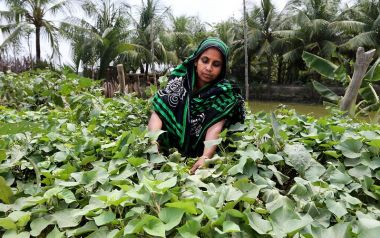How women’s empowerment can expand crop diversification as a climate adaptation strategy in Bangladesh